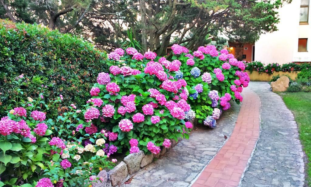 Hotel Valdiola Porto Cervo Exterior foto