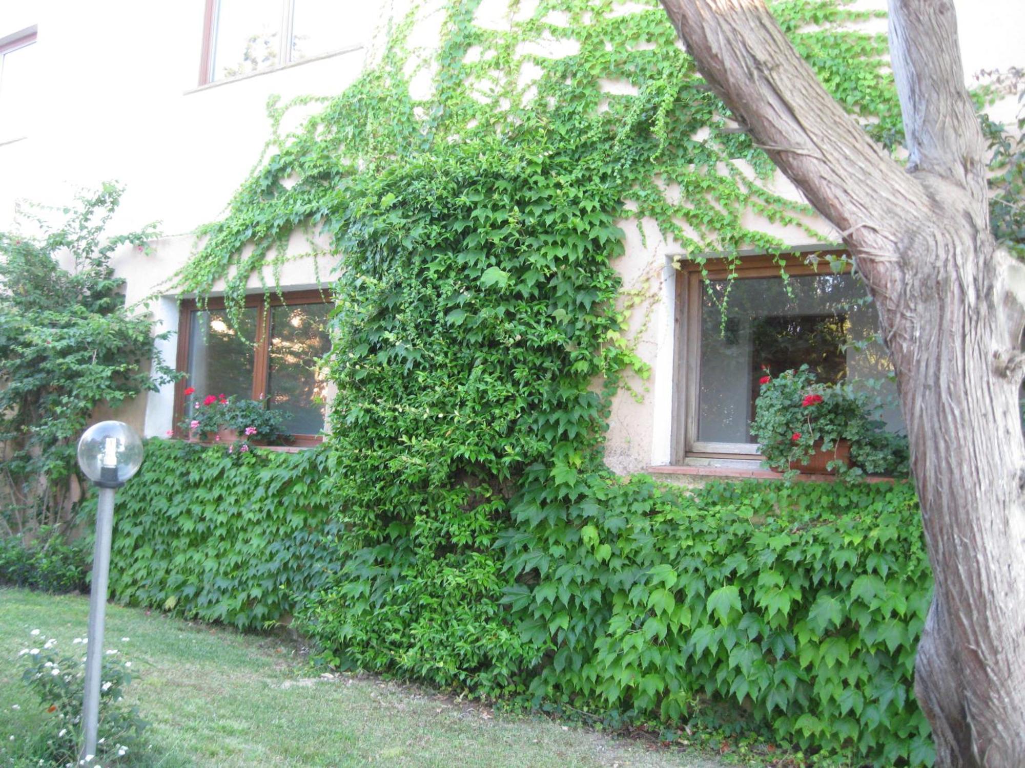 Hotel Valdiola Porto Cervo Exterior foto